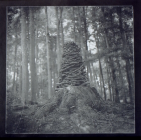 Michael Marshall portfolio